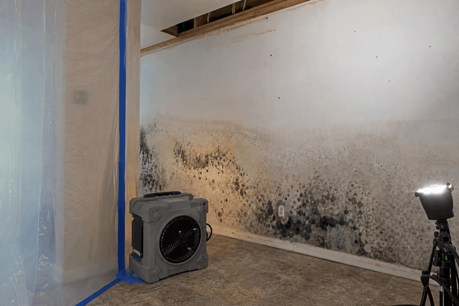 Extensive mold growth on a basement wall with plastic containment sheeting and a HEPA air scrubber set up for professional remediation